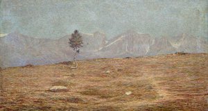 Plantan