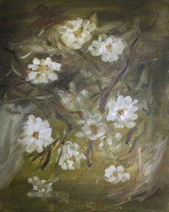 Mjuka vita blommor
