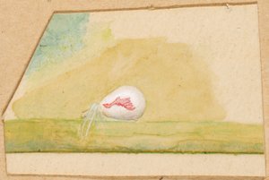 Porslin-vit spindel, sent 1800-tidigt 1900-tal.