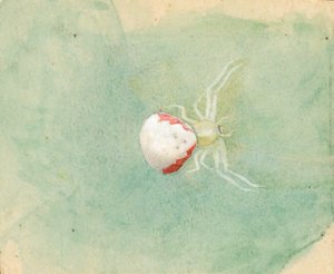 Porslin-vit spindel, sent 1800-tidigt 1900-tal.