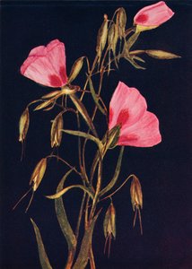 Farväl till våren, c1915, 1915