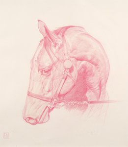 Porträtthuvud, 2010 (röd krita på papper)