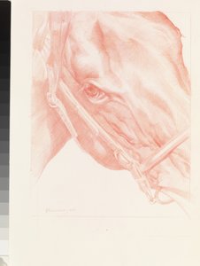 Portrait Head, 2012 (rödkrita på papper)