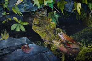 Pond Life, 2021 (olja på duk) av Emma Pewsey