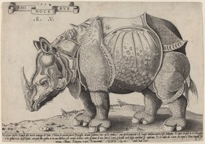 Noshörning av Enea Vico after Albrecht Dürer