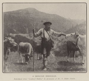 En Brescian Herdsman av English Photographer