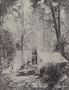 Ett Bush Camp, Tasmanien av English Photographer