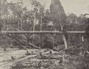 A Miners Claim, nära Daylesford, Victoria av English Photographer