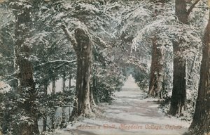 Addisons Walk, Magdalen College, Oxford. Vykort skickat 1913. av English Photographer