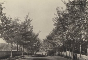 Aldeburgh, Westfields Avenue (s/v foto) av English Photographer