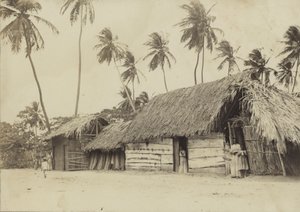 Bridgetown, Barbados, hyddor av English Photographer