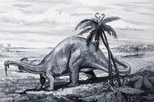 Brontosaurus av English Photographer