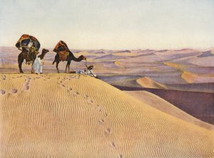 Kameler i Sahara (foto i färg) av English Photographer