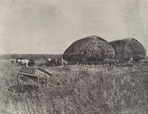 Canning Downs Station av English Photographer