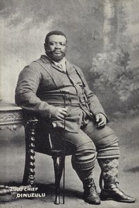 Cetshwayo kaMpande, kung av Zulu-nationen av English Photographer