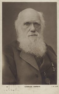 Charles Darwin (1809-1882), engelsk naturforskare av English Photographer