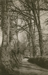 Cockington Lane, Devonshire, nära Torquay av English Photographer