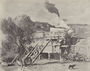 Crushing Stone, Kiama Quarries, New South Wales av English Photographer