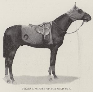 Cyllene, vinnare av Gold Cup av English Photographer