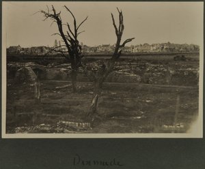Dixmude, ca 1916-19 av English Photographer