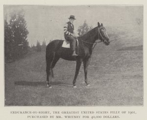 Endurance-by-Right, det största USA-stoet från 1901, köpt av Mr Whitney för 40 000 dollar av English Photographer