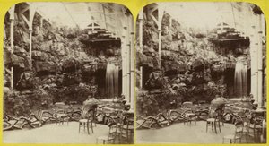 Fernery och vattenfall vid Brighton Aquarium av English Photographer