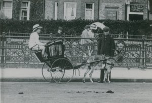 Getdragen transport av English Photographer