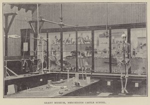Grant Museum, Merchiston Castle School (gravyr) av English Photographer