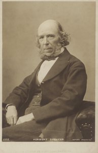 Herbert Spencer (1820-1903), engelsk filosof, politisk teoretiker, biolog och sociolog av English Photographer