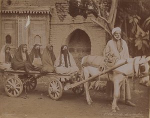 Hästdragen vagn, Kairo, 1893 av English Photographer