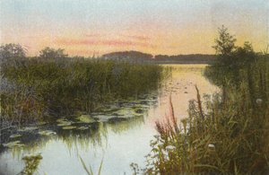 Hoveton Broad av English Photographer
