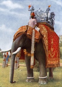 Det förhistoriska Indien: Dess färg och magi (färgfoto) av English Photographer