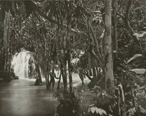 Jamaica: Blue Pool-Roaring River, St Anns (svartvitt foto) av English Photographer