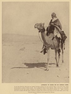 Lawrence av Arabien på denna berömda kamel (svartvitt foto) av English Photographer