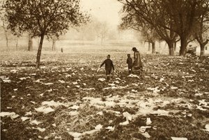 Skräpbelagt gräs på Hampstead Heath dagen efter en helgdag, från Wonderful London, publicerad 1926-27 (fotogravyr) av English Photographer
