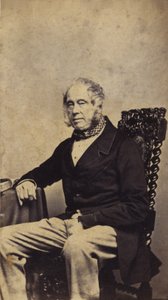 Lord Palmerston av English Photographer