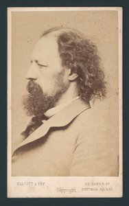 Lord Tennyson, visitkort av English Photographer