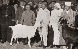 Mahatma Gandhi anländer till London, England 1931 med sin lärjunge, Madeleine Slade, och hans två getter, från The Story of Twenty Five Years, publicerad 1935 av English Photographer