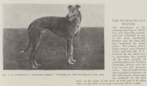 Mr GF Fawcetts Farndon Ferry, vinnare av Waterloo Cup, 1902 av English Photographer