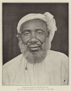 Mr H M Stanleys expedition för relief av Emin Pasha