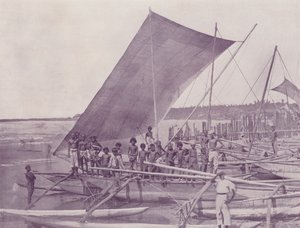 Inhemska fiskebåtar, Ceylon av English Photographer