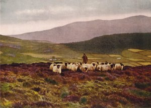 På Mourne-bergen, County Down (färgfoto) av English Photographer