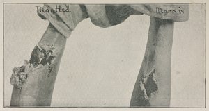 Foto från uppsatsen 