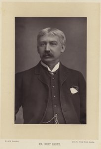 Porträtt av Bret Harte av English Photographer