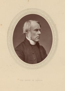 Porträtt av John Jackson av English Photographer