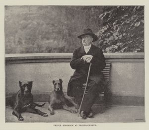 Prins Bismarck i Friedrichsruh av English Photographer