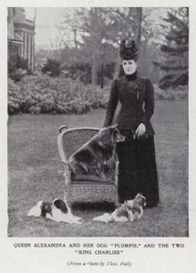 Drottning Alexandra med sin hund, Plumpie, och sina två King Charles spaniels (s/v foto) av English Photographer