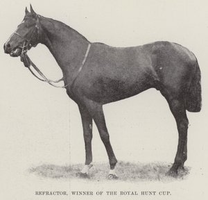 Refractor, vinnare av Royal Hunt Cup av English Photographer