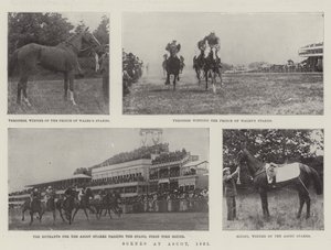 Scener vid Ascot, 1901 av English Photographer