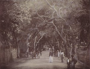 Skinners Road, Colombo (färgad bild) av English Photographer
